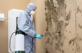 Mold Removal for HVAC Installations